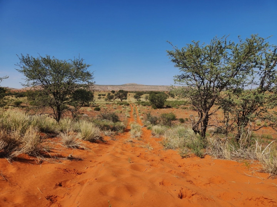 Commercial Property for Sale in Prieska Rural Northern Cape